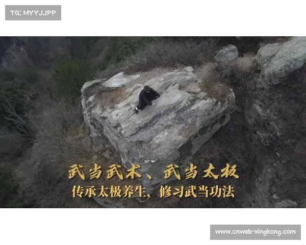 传统武术版权保护白皮书发布 少林武当崆峒申遗进程加速推动文化传承